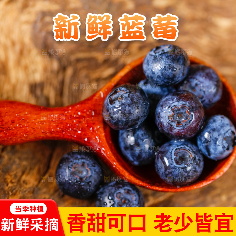 勺子上放着蓝莓鲜果