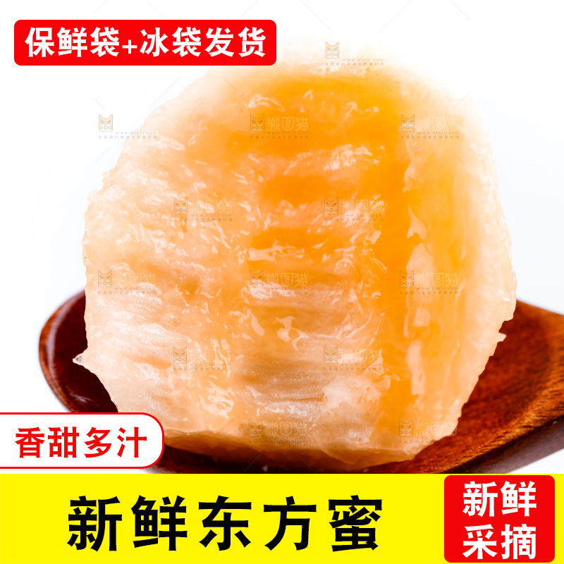 勺子里装着山东东方蜜瓜