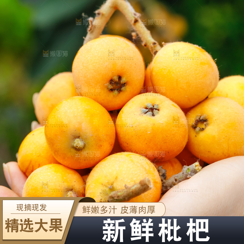 手里捧着新鲜枇杷