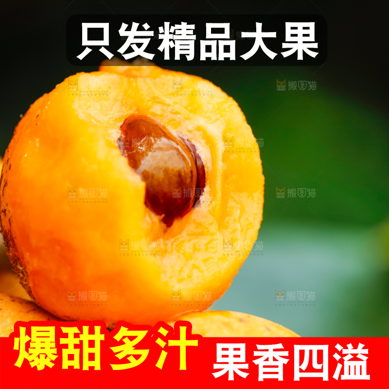 户外的枇杷果