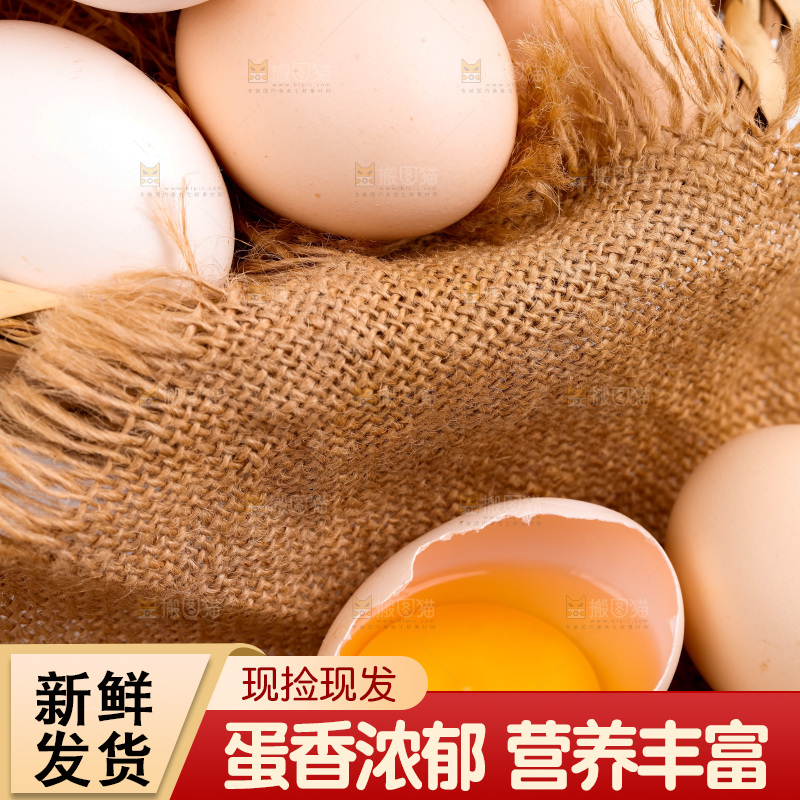 新鲜柴鸡蛋放在白底上