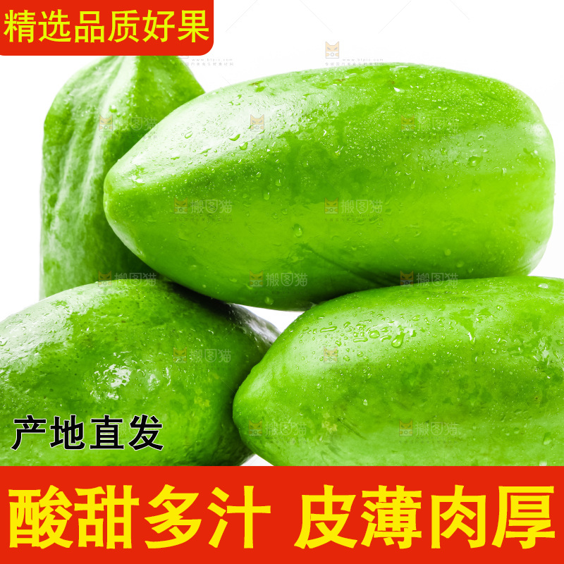 白底上摆放着木瓜