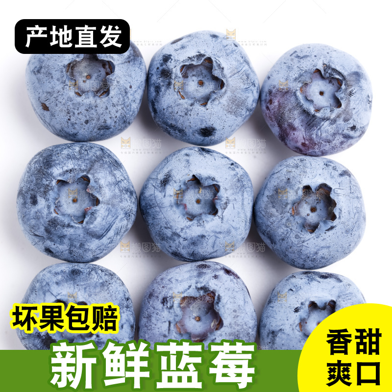 浅底上放着蓝莓果
