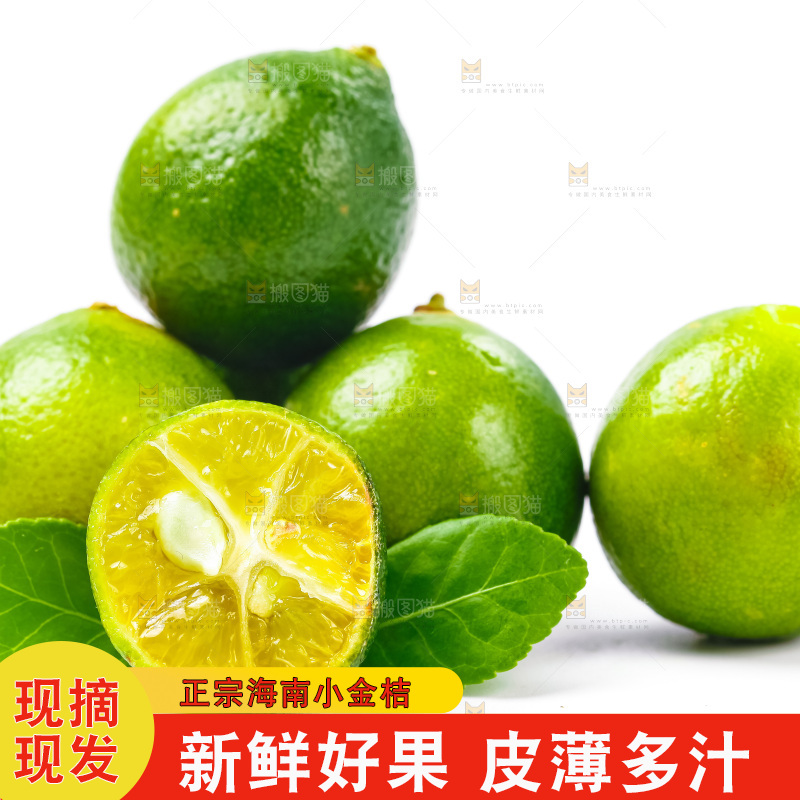 浅底上摆放着小金桔