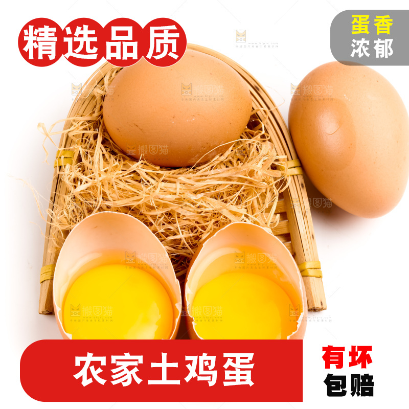 白底上放着散养鸡蛋