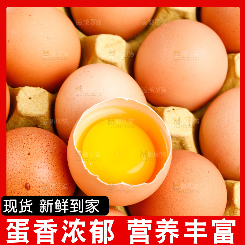 白底上的新鲜鸡蛋