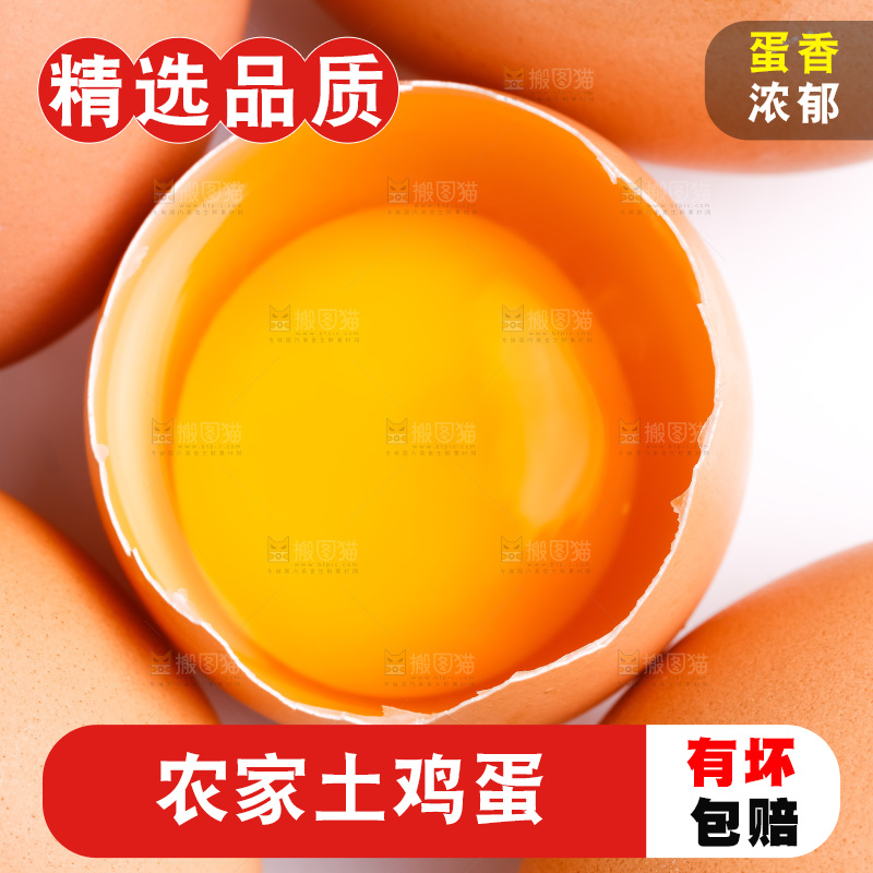 白底上的新鲜鸡蛋