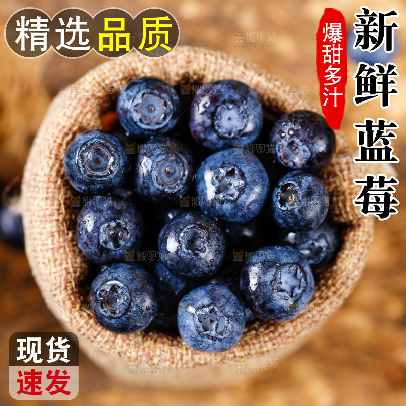 袋子里装着新鲜蓝莓