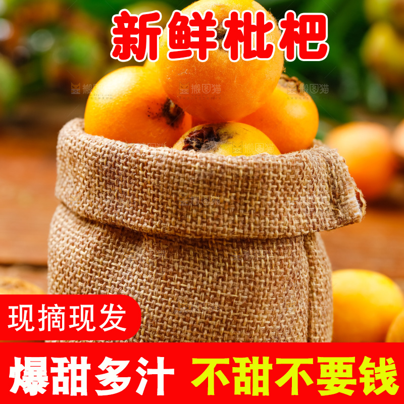 袋子里装着新鲜枇杷