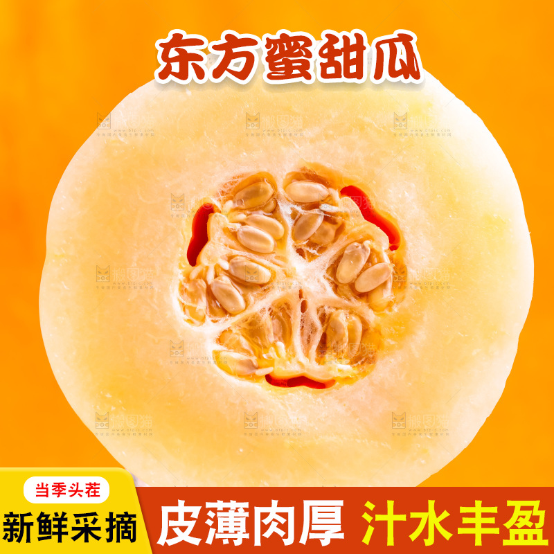 浅底上放着山东东方蜜瓜