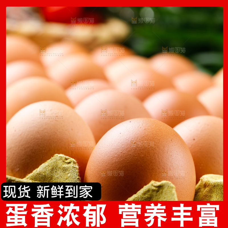 木底上放着新鲜鸡蛋
