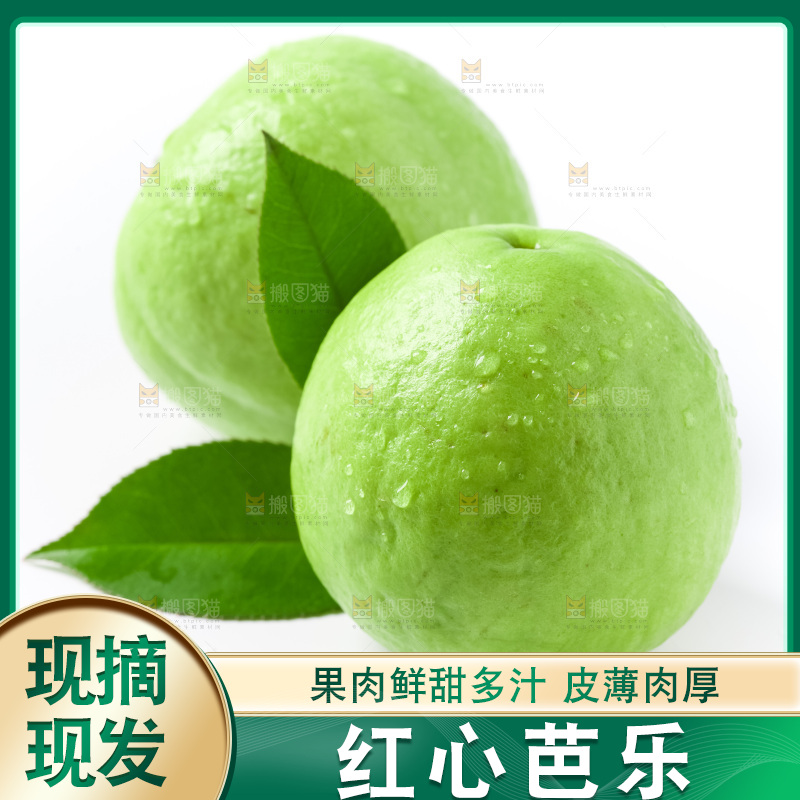 浅底上放着广西红心芭乐