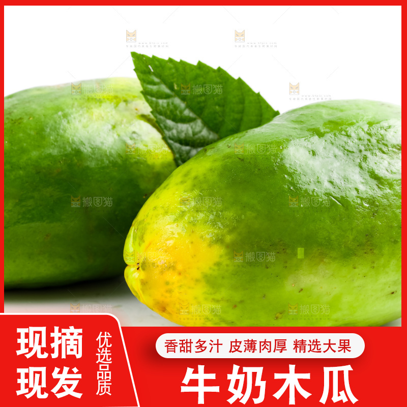 白底上放着海南红心木瓜