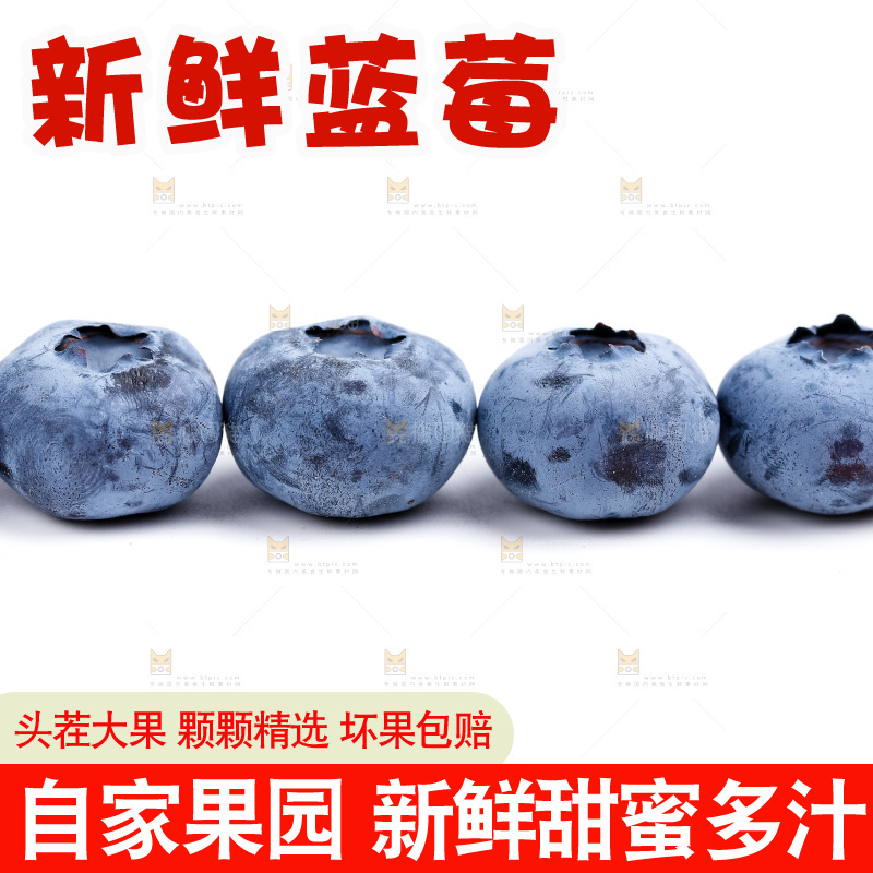 浅底上放着蓝莓果