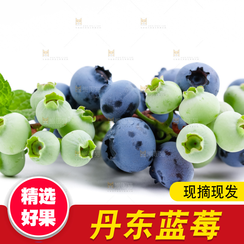 白底上放着新鲜蓝莓
