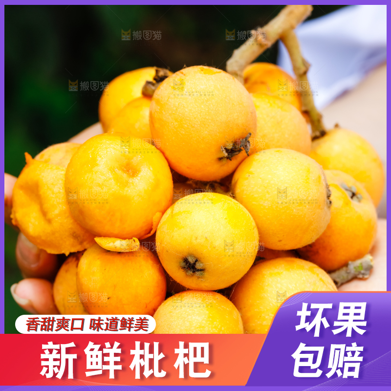 手里捧着新鲜枇杷
