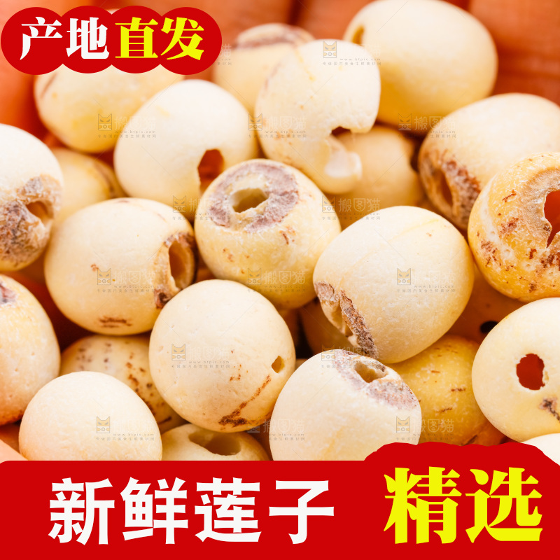 手拿白莲子