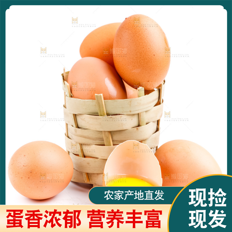 白底上放着散养鸡蛋