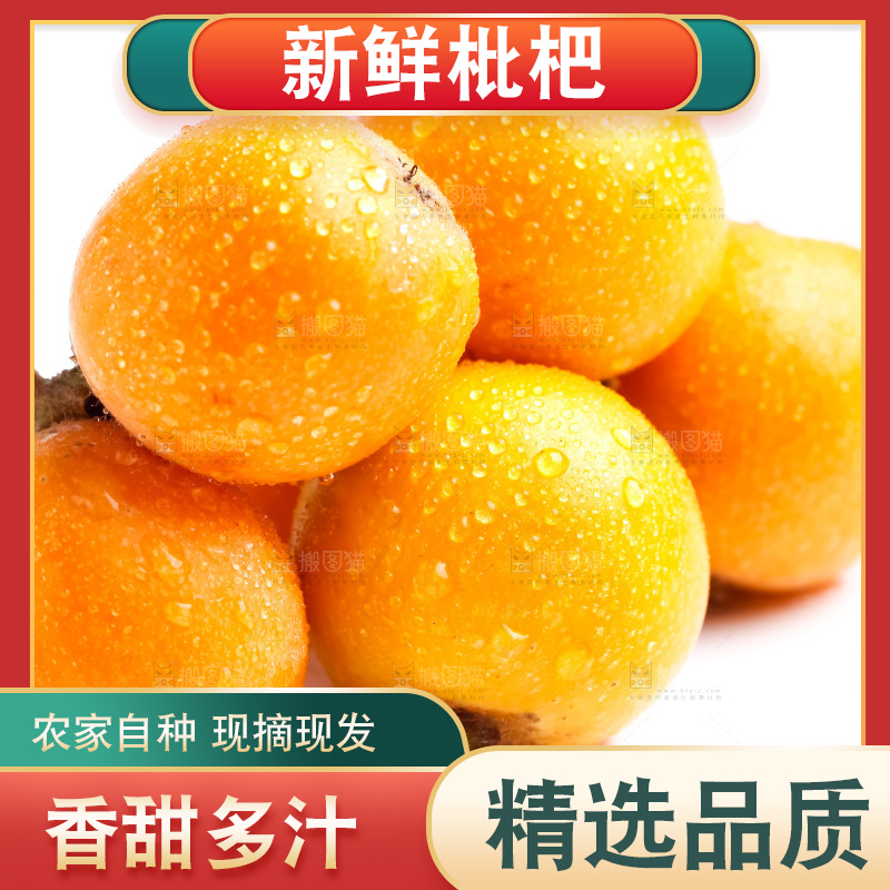 白底上放着新鲜枇杷