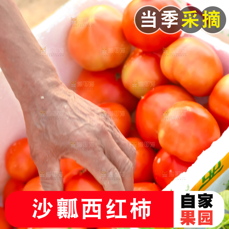 箱子里装着西红柿