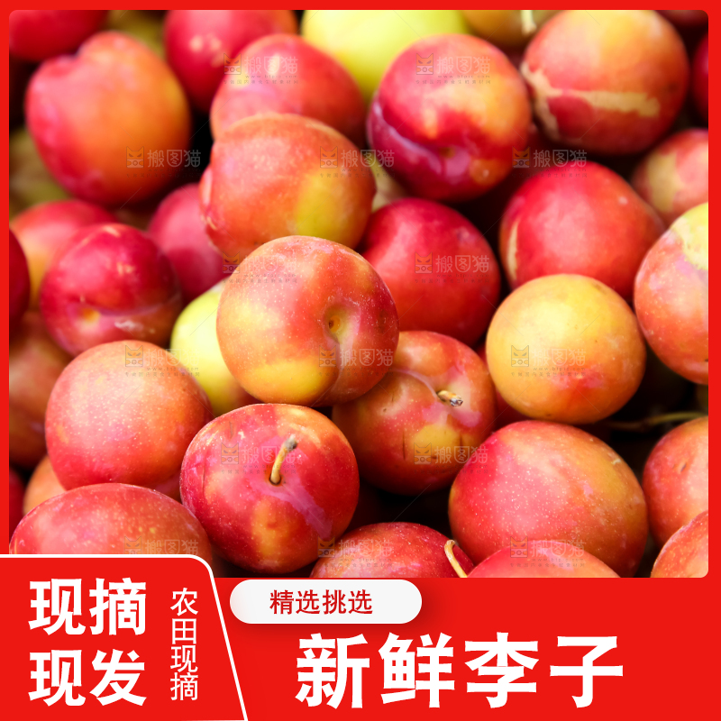 篮子里放着李子
