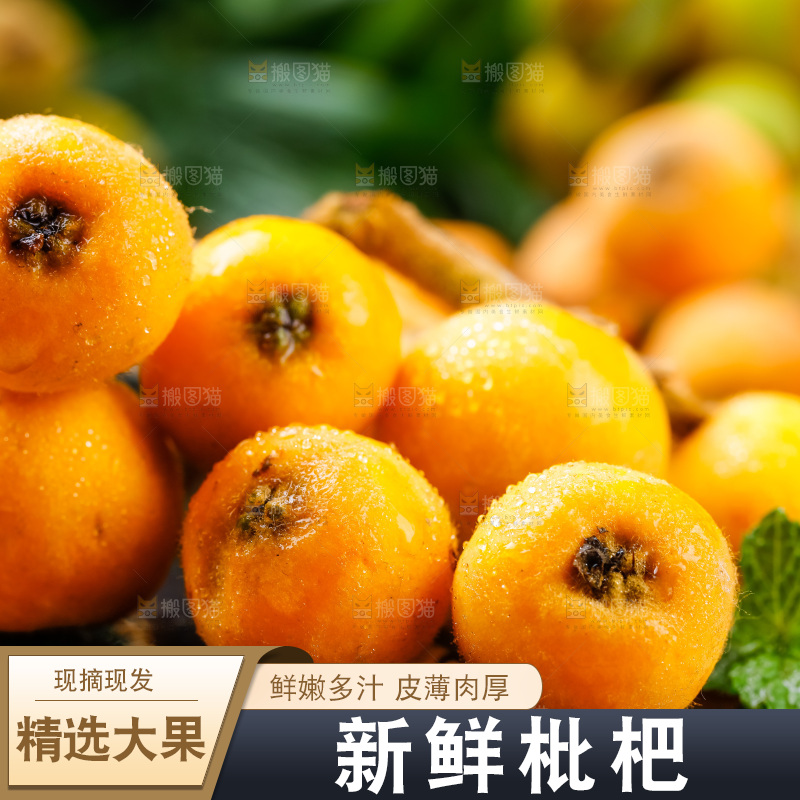 黑石板上放着四川米易枇杷