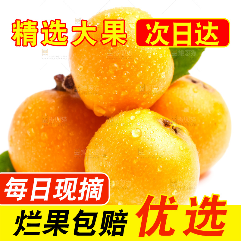 白底上放着新鲜枇杷