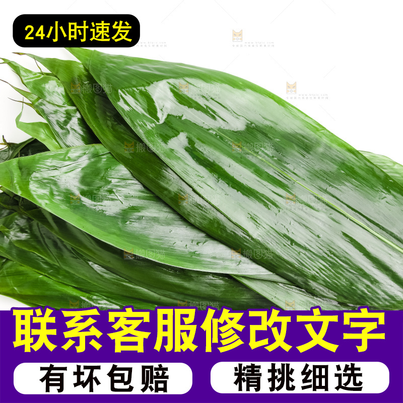 新鲜粽叶放在白底上