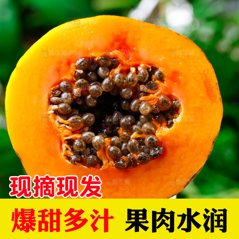玻璃杯上放着冰糖红心木瓜