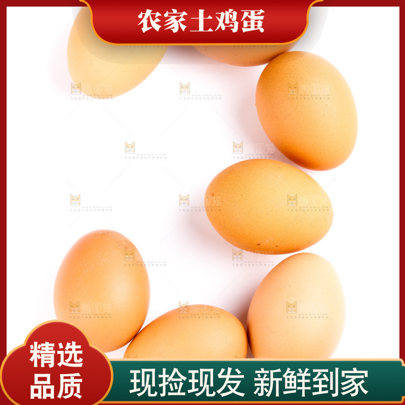 白底上的鲜鸡蛋