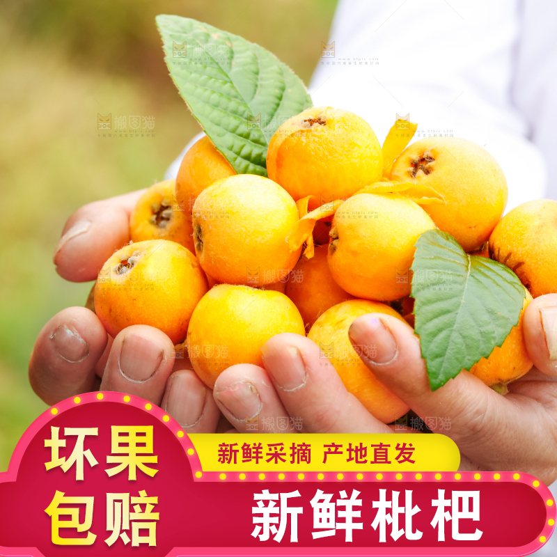 手里捧着枇杷