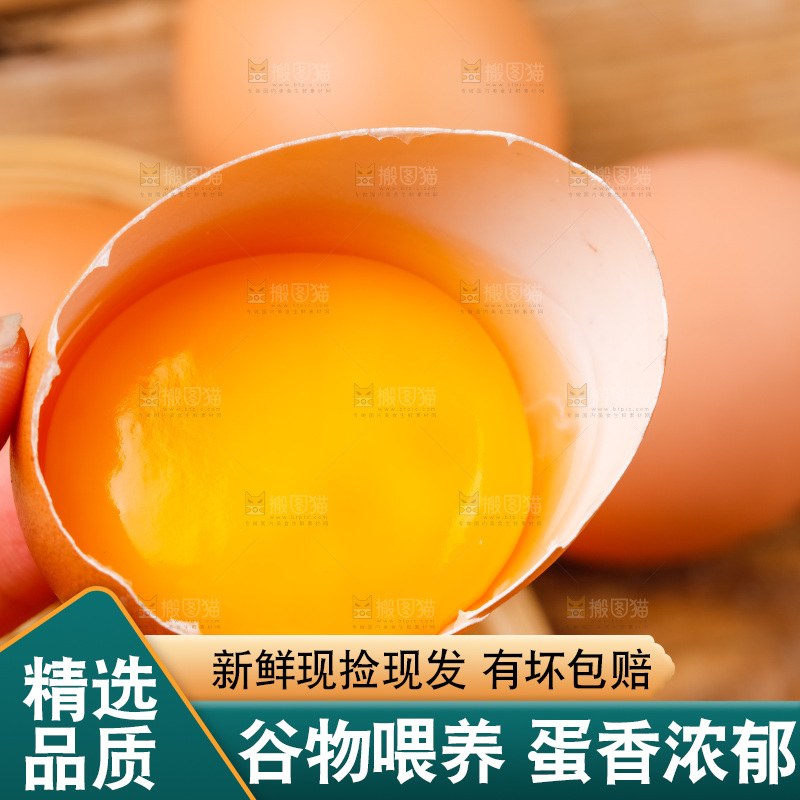手拿新鲜柴鸡蛋