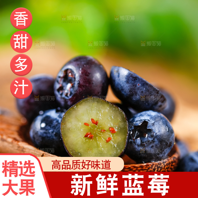 勺子上放着蓝莓鲜果