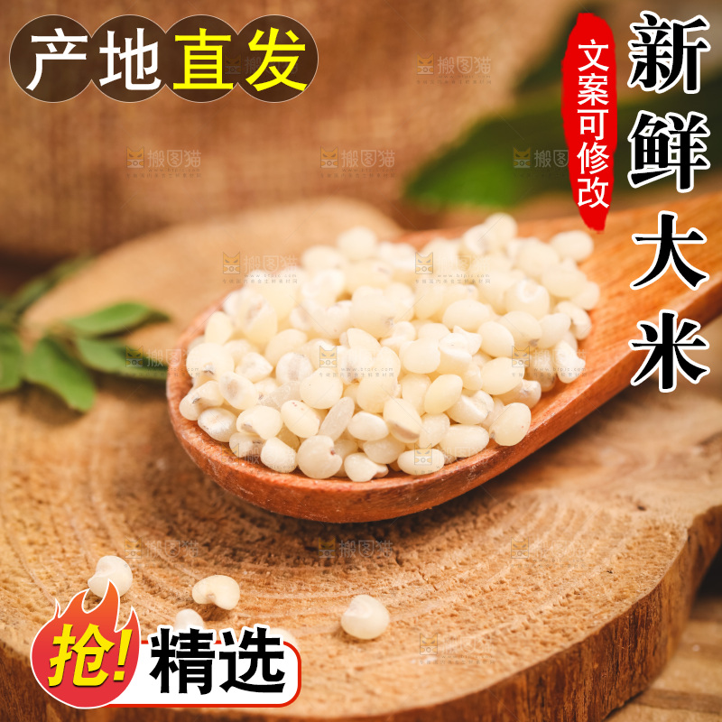 勺子里放着高粱米