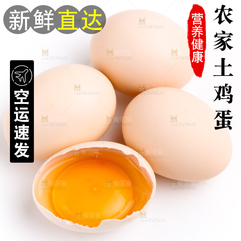 新鲜柴鸡蛋放在白底上