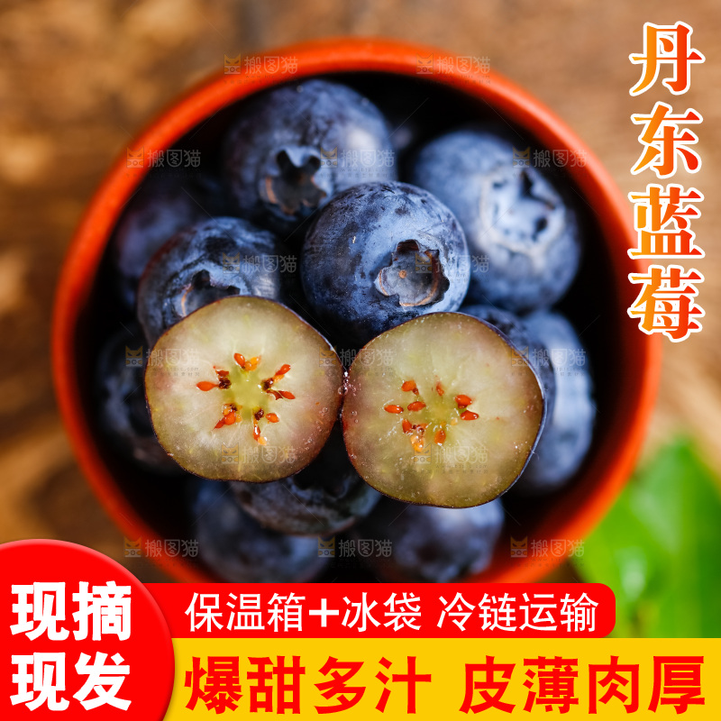 碟子里装着新鲜蓝莓