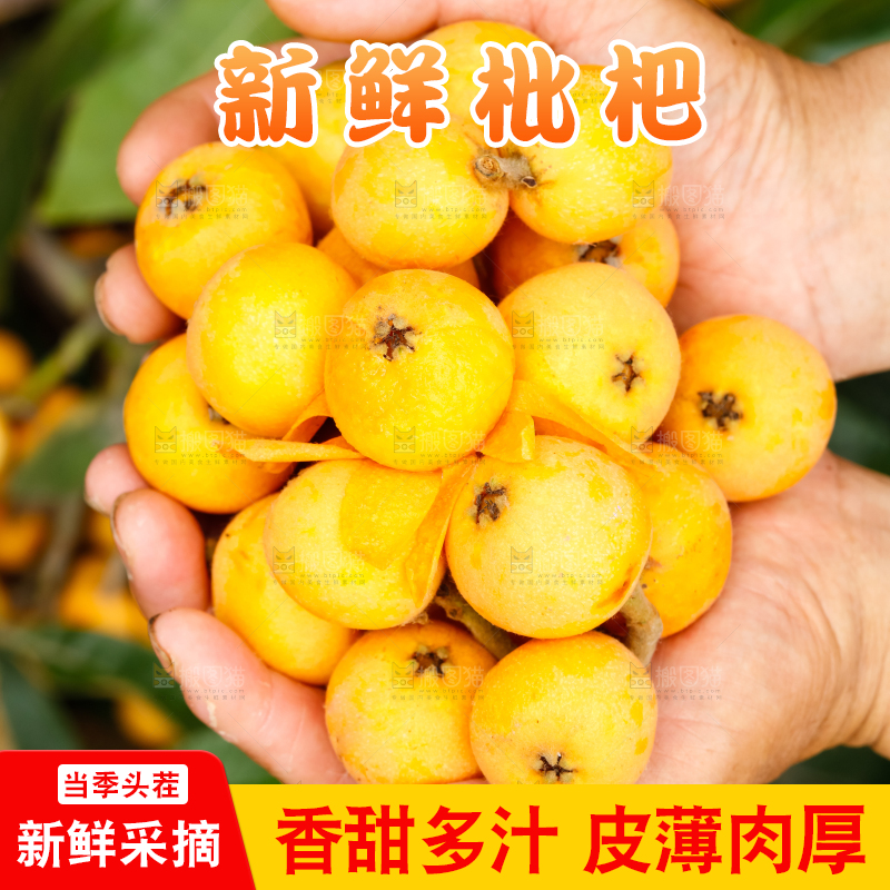 手里捧着枇杷