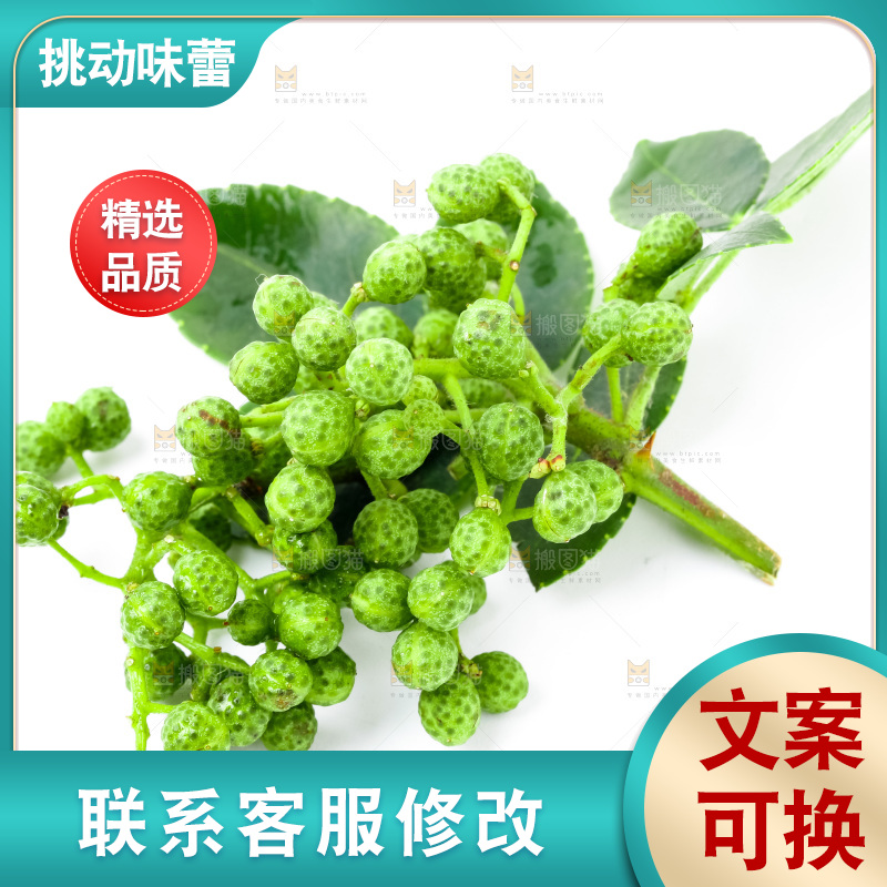 枝叶上的青花椒