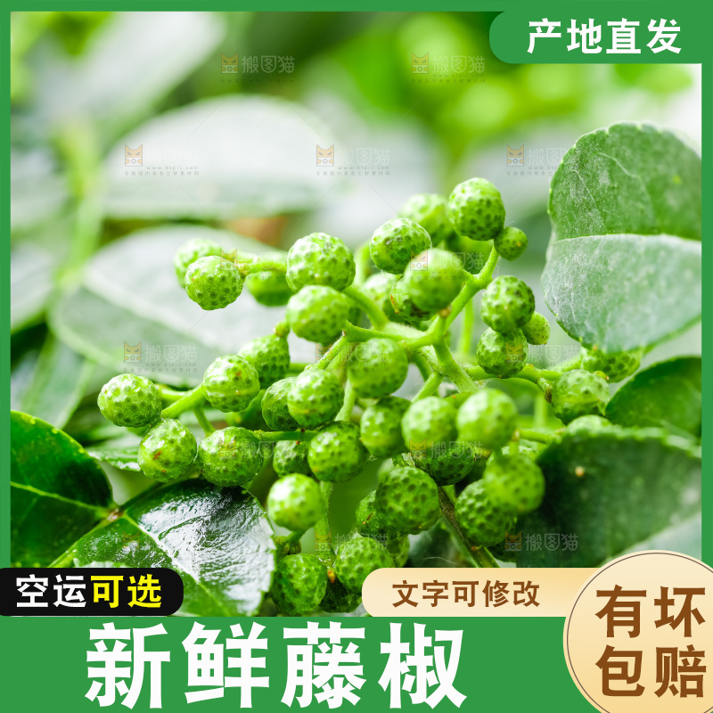 枝叶上的青花椒
