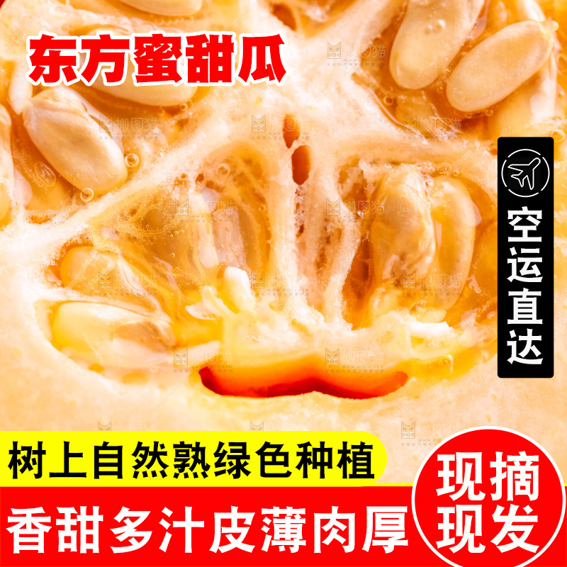 浅底上放着山东东方蜜瓜