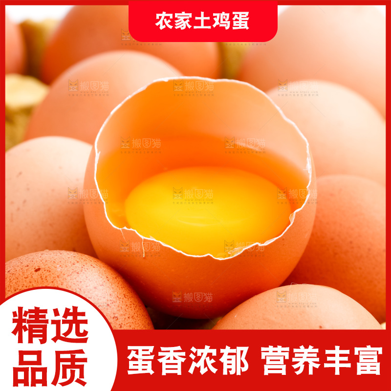 白底上的新鲜鸡蛋