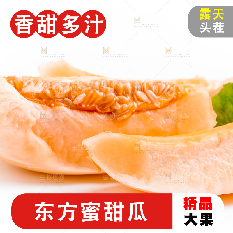 山东东方蜜瓜放在白底上