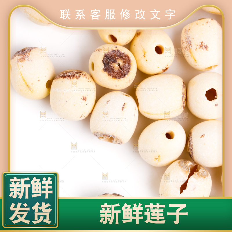 白底上的莲子