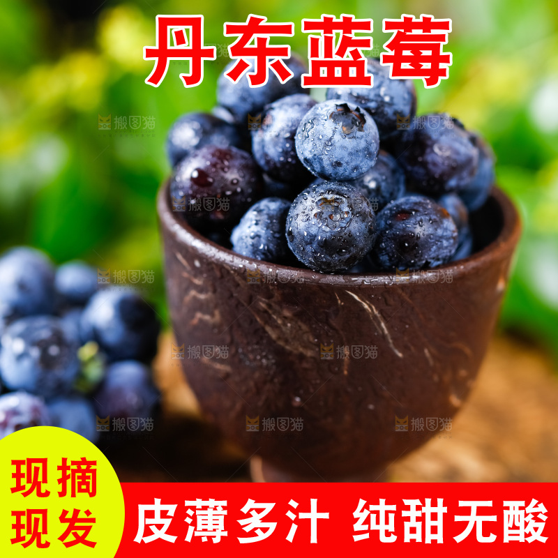 碟子里装着蓝莓