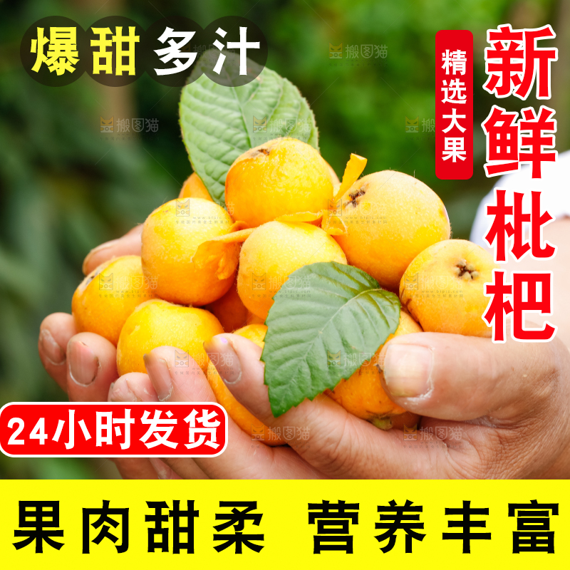 手里捧着枇杷