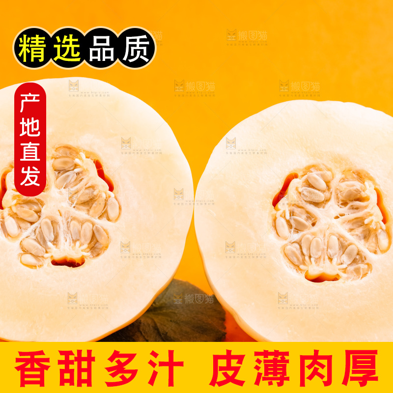 浅底上放着山东东方蜜瓜