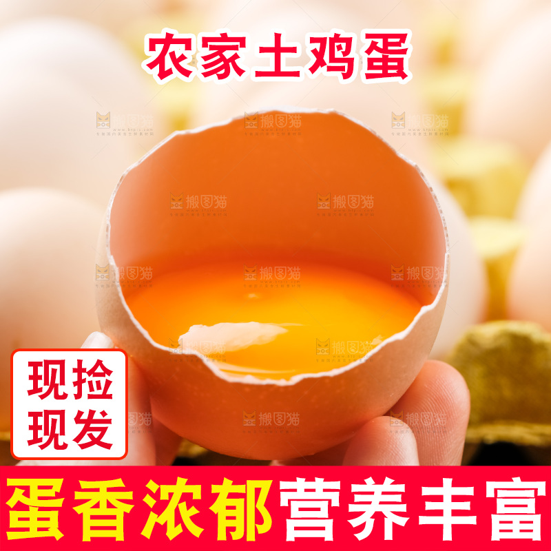 手拿新鲜鸡蛋