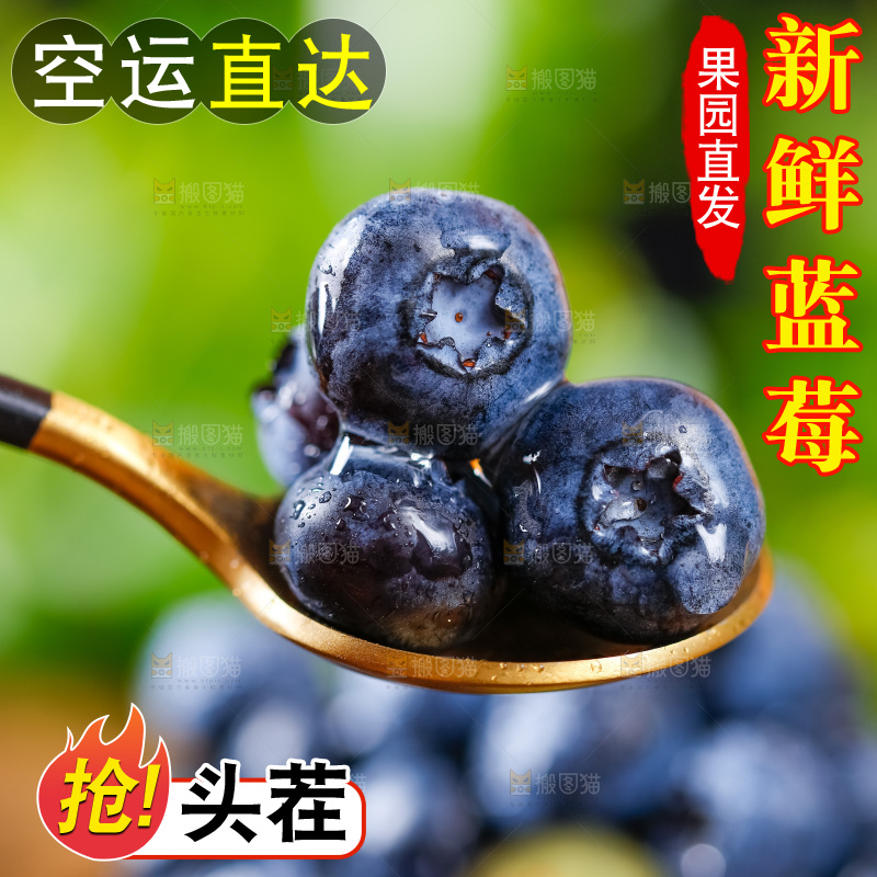 勺子上放着蓝莓鲜果