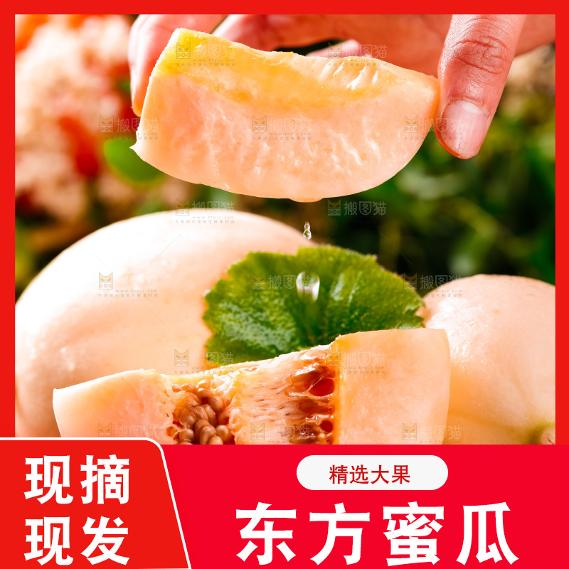 手拿东方蜜瓜切块