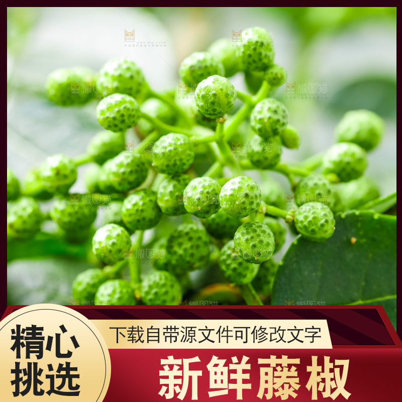 枝叶上的青花椒